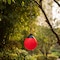 Playberg Hanging Adjustable Ball Round Swing, Inflatable Heavy Duty Rubber Round Swing Ball, Pump Included QI004559.RD - alternate 6